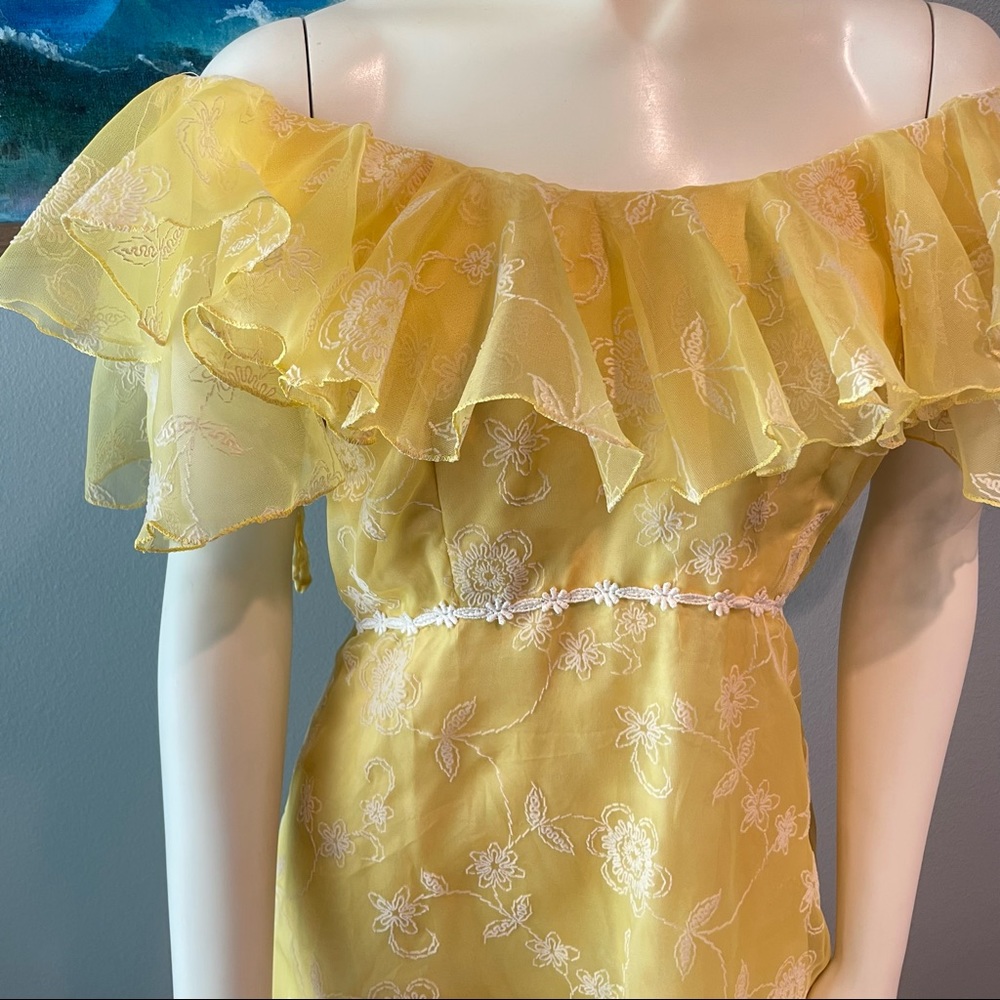 Vintage Sylvia Ann Flocked Daisy Flower Dress Ruffle Maxi 70s Flower Child - Picture 3 of 14